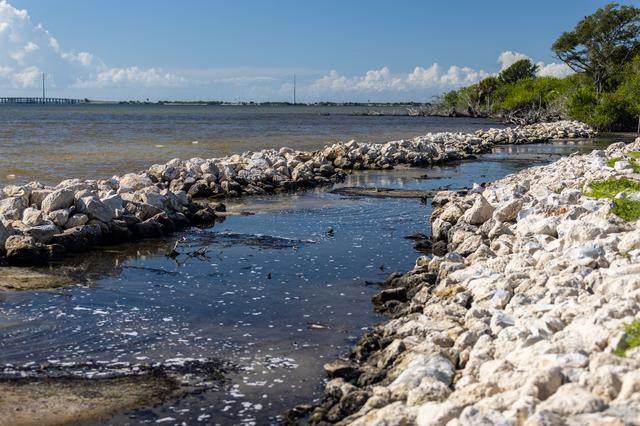 KARS Park Shoreline Restoration