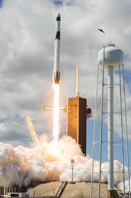 NASA image: SpaceX Crew-5 Liftoff, Remote Cam #8