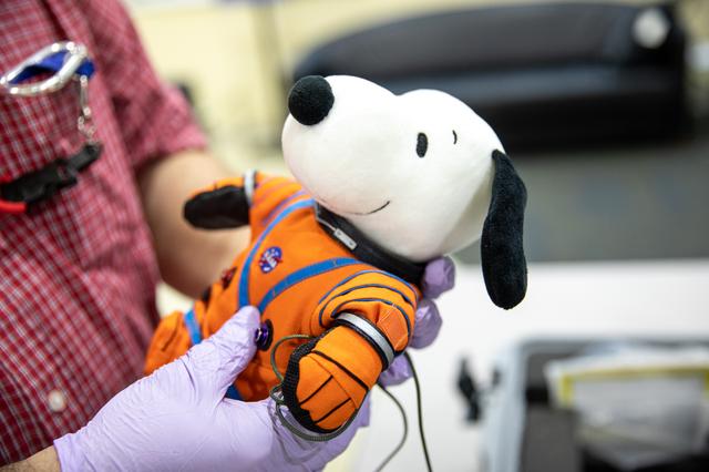 NASA image: Artemis I Orion Post-Flight Payload Processing - Snoopy