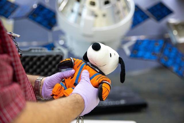 NASA image: Artemis I Orion Post-Flight Payload Processing - Snoopy