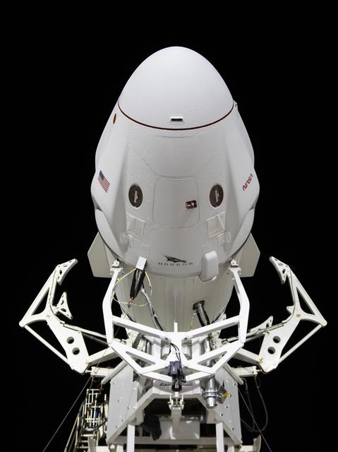 NASA/SpaceX Crew-6 Rollout for Launch