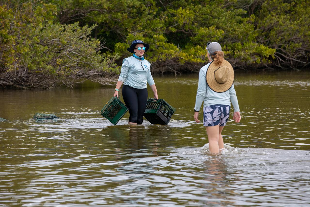 Members of the Florida Oceanographic Society collect mats of seagrass from their storage site at NASA’s Kennedy Space Center in Florida as they prepare to plant them in the Banana River – one of three bodies of water that make up the Indian River Lagoon (IRL) – on March 29, 2023. Kennedy’s Environmental Management Branch is working to plant a minimum of 28,000 shoots of seagrass divided into 18 sites across three areas at the Florida spaceport as part of a pilot project for seagrass restoration efforts. The project will look at the feasibility of replanting seagrass in Kennedy waters and, if successful, could lead to the spaceport becoming a donor site where shoots of grass can be broken off and relocated to other areas within Kennedy or along the IRL to promote growth.