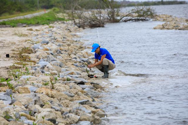 NASA image: Mangrove Rescue/Restoration Project