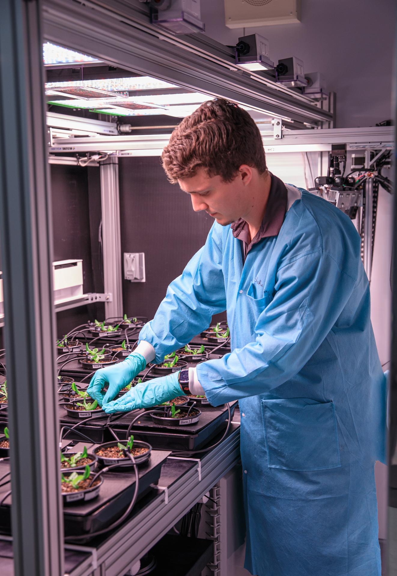 NASA, International Partners Advance Work on Space Crops