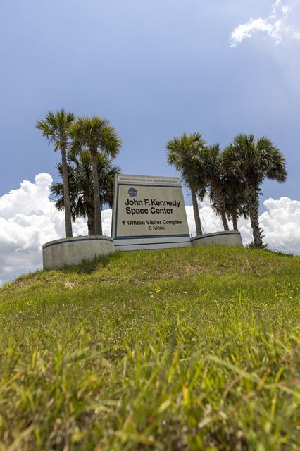 NASA image: Wildflowers at KSC