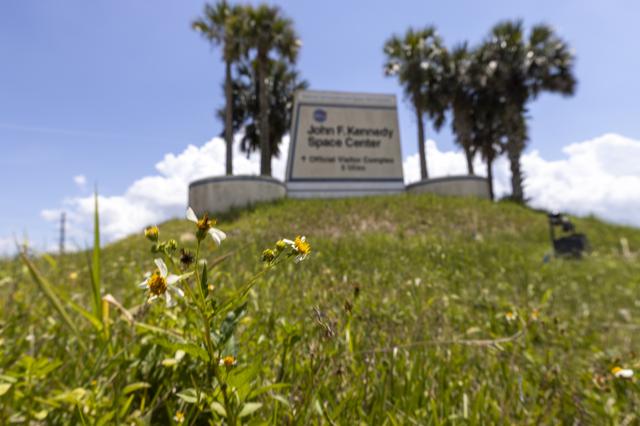 NASA image: Wildflowers at KSC