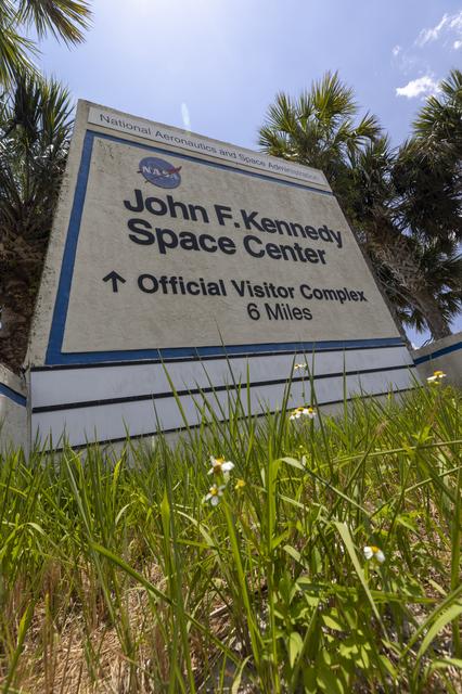 NASA image: Wildflowers at KSC