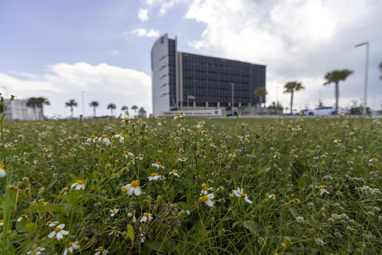 Wildflowers and palm trees are in view near the Central Campus Headquarters Building at NASA’s John F. Kennedy Space Center in Florida on May 19, 2023. The center shares a border with the Merritt Island National Wildlife Refuge. More than 330 native and migratory bird species, along with 65 amphibian and reptile species, call Kennedy and the wildlife refuge home. 