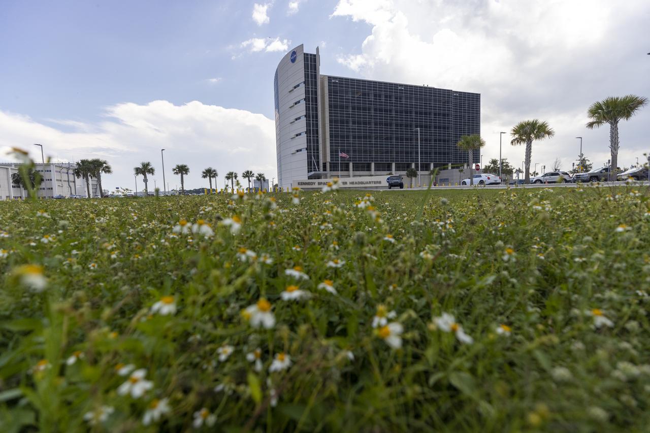 Wildflowers and palm trees are in view near the Central Campus Headquarters Building at NASA’s John F. Kennedy Space Center in Florida on May 19, 2023. The center shares a border with the Merritt Island National Wildlife Refuge. More than 330 native and migratory bird species, along with 65 amphibian and reptile species, call Kennedy and the wildlife refuge home. 