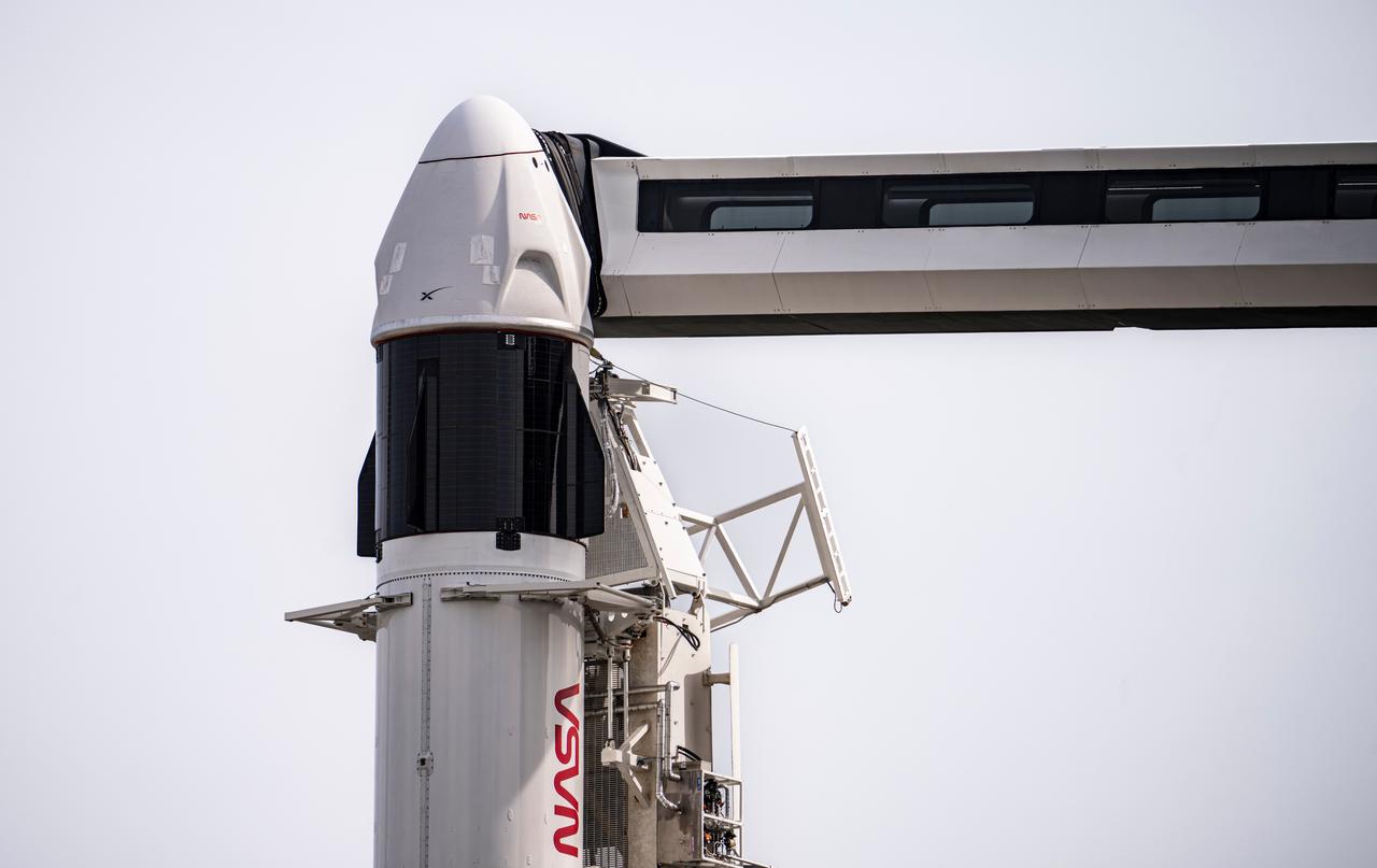 SpaceX’s Falcon 9 rocket, with the Dragon spacecraft atop, is vertical at NASA’s Kennedy Space Center Launch Complex 39A in Florida on Saturday, March 2, 2024, ahead of NASA’s SpaceX Crew-8 launch to the International Space Station. The eighth crew rotation mission with SpaceX and the ninth flight of Dragon with people as part of the agency’s Commercial Crew Program is slated to carry NASA astronauts Matthew Dominick, Michael Barratt, and Jeanette Epps, and Roscosmos cosmonaut Alexander Grebenkin to the station from Launch Complex 39A no earlier than 11:16 p.m. EST on Saturday, March 2, 2024.