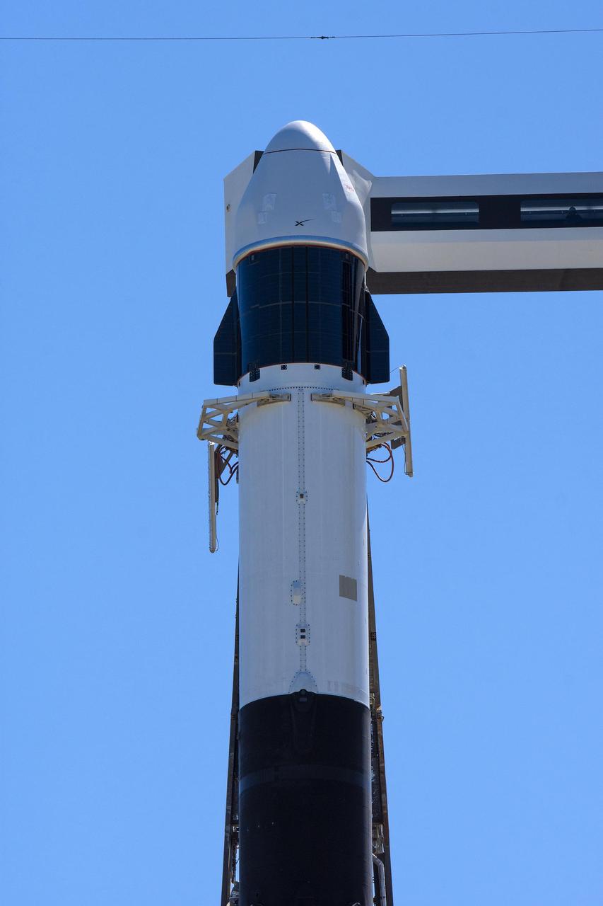 Seen here is an up-close view of the SpaceX Dragon spacecraft atop the company’s Falcon 9 rocket after being raised to a vertical position at Space Launch Complex 40 at Cape Canaveral Space Force Station in Florida on Tuesday, March 19, 2024, in preparation for the 30th commercial resupply services launch to the International Space Station. NASA and partner research flying aboard the mission includes a look at plant metabolism in space and a set of new sensors for free-flying Astrobee robots to provide 3D mapping capabilities. Other studies include a fluid physics study that could benefit solar cell technology and a university project from CSA (Canadian Space Agency) that will monitor sea ice and ocean conditions. Liftoff is scheduled for 4:55 p.m. EDT on Thursday, March 21, 2024.