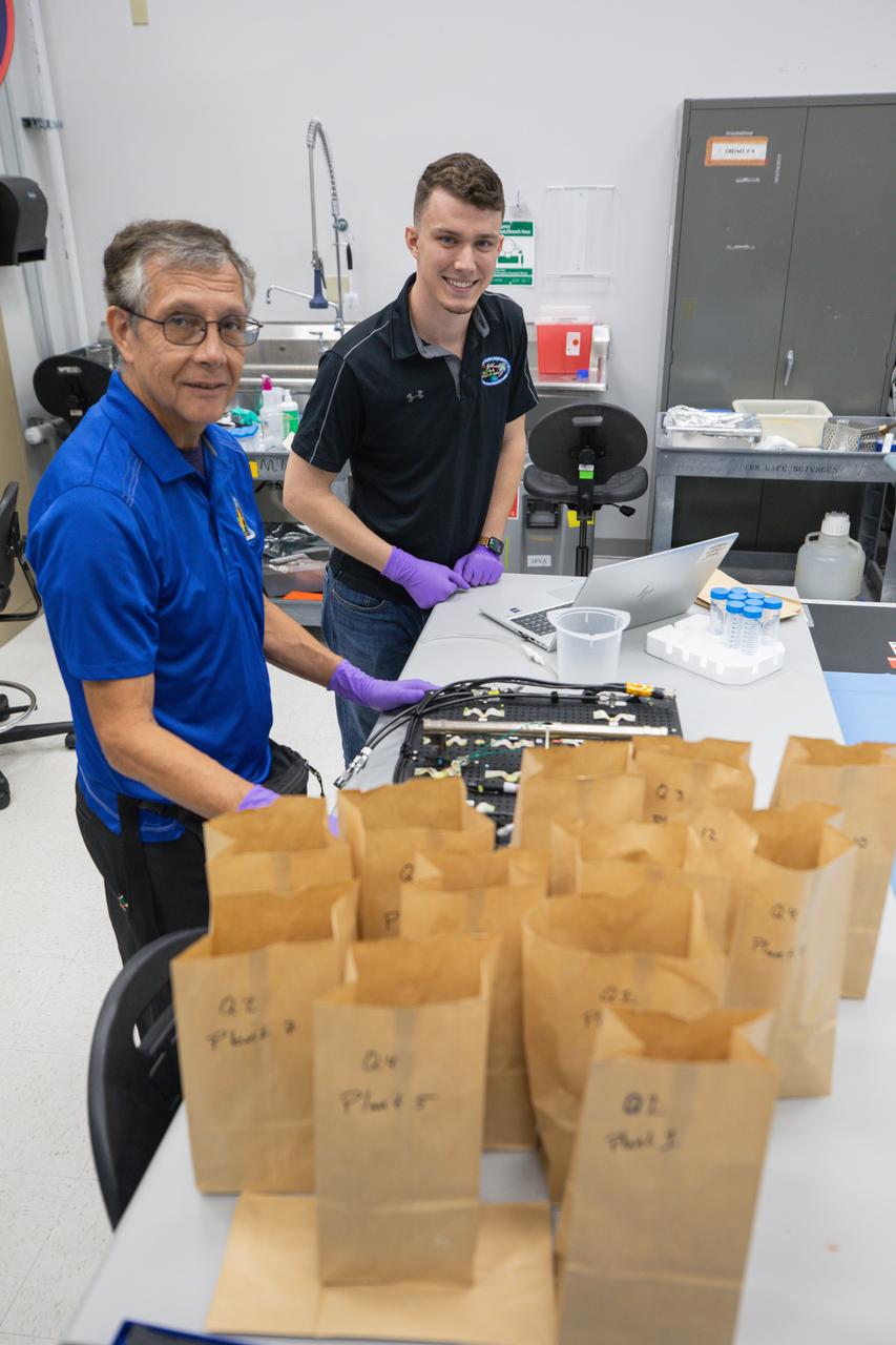Space crop production scientists Oscar Monje (left) and Blake Costine harvest Outredgeous romaine lettuce for preflight testing of the Plant Habitat-07 (PH-07) experiment inside a laboratory at the Space Systems Processing Facility at NASA’s Kennedy Space Center in Florida on Thursday, Aug. 29, 2024. PH-07 will be sent to the International Space Station on NASA’s SpaceX 31st commercial resupply services mission to study how optimal and suboptimal moisture conditions impact plant growth, nutrient content, and the plant microbiome.