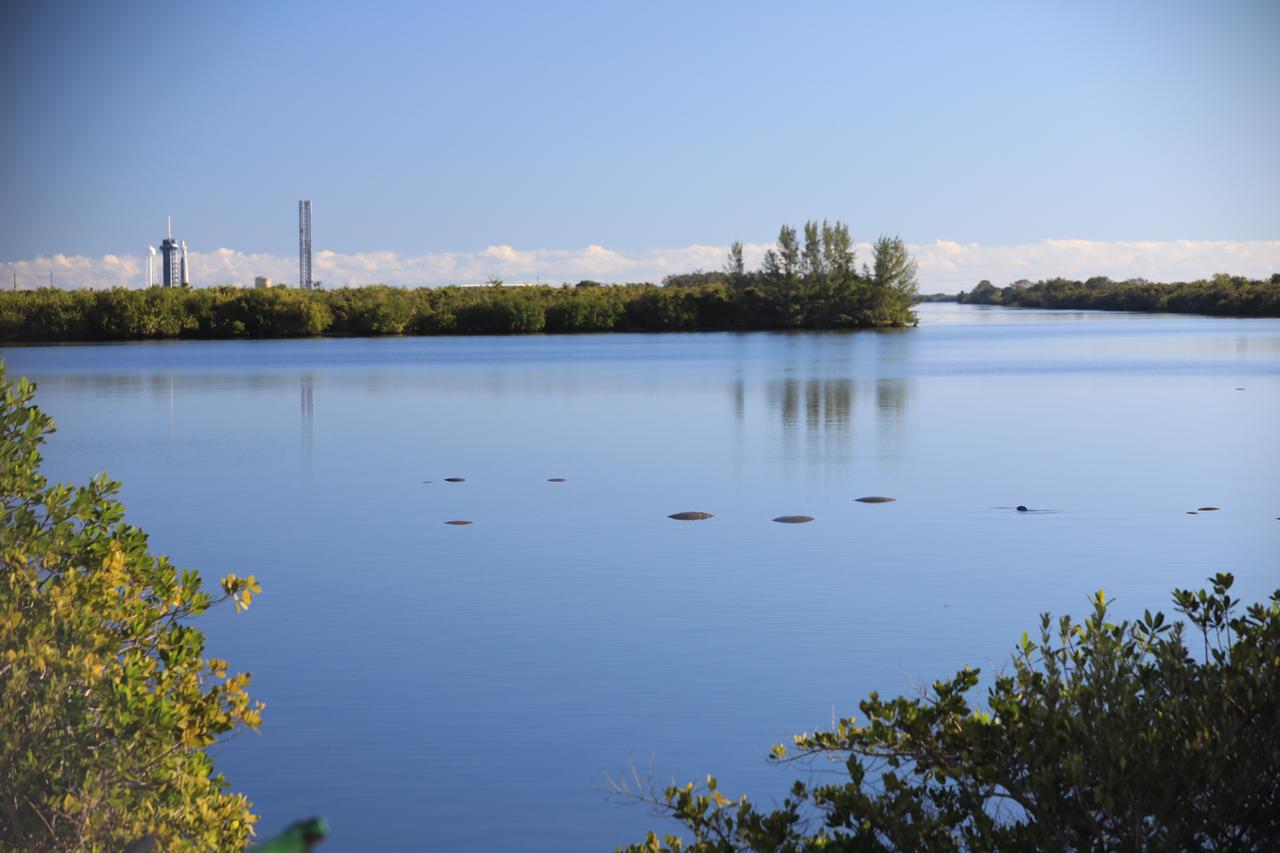 Several manatees swim in the turn basin of Launch Complex 39 at NASA’s Kennedy Space Center in Florida on Tuesday, Nov. 26, 2024. NASA Kennedy shares a boundary with the Merritt Island Wildlife National Refuge and is home to more than 1,500 species of plants and animals on 140,000 acres.
