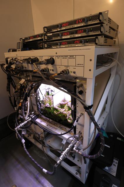 NASA image: PH-07 Ground Ops Harvest