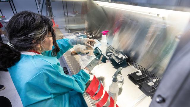 NASA image: Veggie Team Processes Pillows for Veg-03 MNO Seed Film