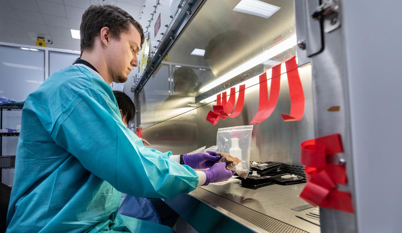 A member of the space crop production team pours substrate and controlled release fertilizer into a Veggie plant pillow on Thursday, May 29, 2025, inside the Space Systems Processing Facility at NASA’s Kennedy Space Center in Florida. The plant pillows, along with Veg-03 MNO seed films, which will carry seeds of Red Russian kale, Wasabi mustard greens, and Dragoon lettuce, are set to fly aboard NASA’s SpaceX Crew-11 mission to the International Space Station to grow in the space environment to study how microgravity impacts crop development compared to ground-grown plants. Seed films enable seed handling and planting of seeds into plant pillows allowing for astronaut choice of crops to grow. Plants can provide whole food nutrition, improve menu variety, and positively impact behavioral health of astronauts on long duration missions to the Moon and Mars and space crop research aboard the orbiting laboratory is enabled by NASA’s Biological and Physical Sciences Division and the International Space Station Program.