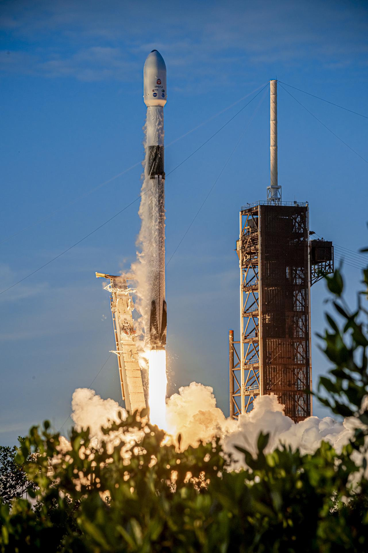 Image shows green shrubs in the foreground with the launch of NASA's Interstellar Mapping and Acceleration Probe (IMAP) mission from Launch Complex 39A on Sept. 24, to help researchers better understand the boundary of the heliosphere, a huge bubble created by the Sun surrounding and protecting our solar system. Photo credit: BAE Systems/Benjamin Fry