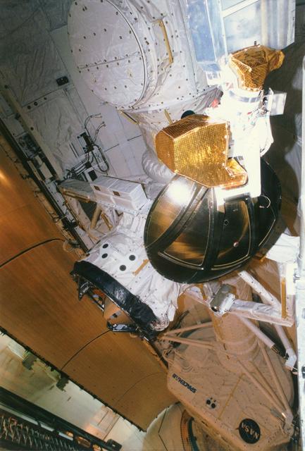 NASA image: KENNEDY SPACE CENTER, FLA. -  The orbiter Ku-band antenna looms large in this view of the Space Shuttle Atlantis' payload bay.  Visible just past the antenna system - stowed on the starboard side of the payload bay wall - is the Orbiter Docking System (ODS), and connected to the ODS via a tunnel is the Spacehab Double Module in the aft area of the payload bay.  This photograph was taken from the starboard wing platform on the fifth level of the Payload Changeout Room (PCR) at Launch Pad 39A.  Work is under way in the PCR to close Atlantis' payload bay doors for flight.  Atlantis currently is being targeted for liftoff on Mission STS-79, the fourth docking of the U.S. Shuttle to the Russian Space Station Mir, around Sept. 12.