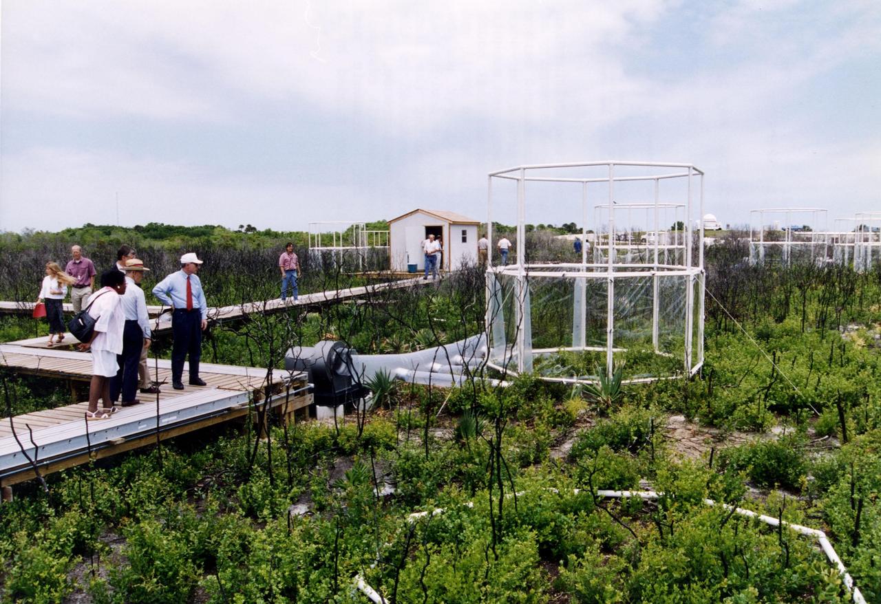 Researchers from the Smithsonian Institution hope their experiment in a local scrub oak community at KSC will yield new insights into the effects of increased carbon dioxide on natural vegetation. The experiment features a four-acre site just north of the Launch Complex 39 area. Increased amoounts of carbon dioxide are piped into 16 open-top chambers that house pristine Florida scrub vegetation, chosen because it is small and woody and fits in the chambers and can be controlled, yet has the attributes of much larger forests. Experts predict a doubling of the carbon dioxide in the Earth's atmosphere during the next century, and the three-year KSC project being conducted by the Smithsonian-led team hopes that by simulating the increase, they can determine how natural ecosystems and vegetation will respond. Also participating in the effort are KSC, academic and international organizations. The study is being funded by a Department of energy grant