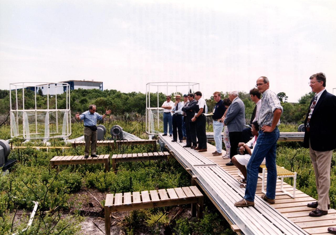 Researchers from the Smithsonian Institution hope their experiment in a local scrub oak community at KSC will yield new insights into the effects of increased carbon dioxide on natural vegetation. The experiment features a four-acre site just north of the Launch Complex 39 area. Increased amoounts of carbon dioxide are piped into 16 open-top chambers that house pristine Florida scrub vegetation, chosen because it is small and woody and fits in the chambers and can be controlled, yet has the attributes of much larger forests. Experts predict a doubling of the carbon dioxide in the Earth's atmosphere during the next century, and the three-year KSC project being conducted by the Smithsonian-led team hopes that by simulating the increase, they can determine how natural ecosystems and vegetation will respond. Also participating in the effort are KSC, academic and international organizations. The study is being funded by a Department of energy grant