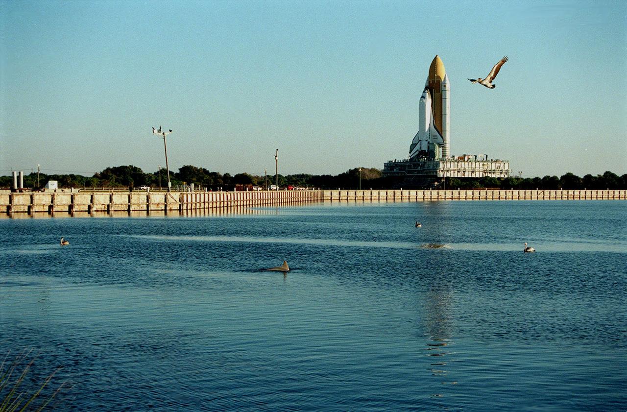 KENNEDY SPACE CENTER,  Fla. --  The Space Shuttle Endeavour rolls out to Launch Pad 39A, the destination of its journey from the Vehicle Assembly Building, for final preparations for liftoff of the STS-89 mission. Endeavour and its crew of seven are targeted for a Jan. 22 launch. STS-89 will be the eighth Shuttle docking with the Russian Space Station Mir as part of Phase 1 of the International Space Station program. Mission Specialist Andy Thomas, Ph.D., will succeed Mission Specialist David Wolf, M.D., as the last NASA astronaut scheduled for a long-duration stay aboard Mir