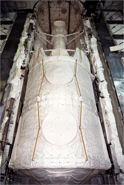KENNEDY SPACE CENTER, FLA. - The Microgravity Science Laboratory-1 (MSL-1) Spacelab module is installed into the payload bay of the Space Shuttle Orbiter Columbia in Orbiter Processing Facility 1.  The Spacelab long crew transfer tunnel that leads from the orbiter's crew airlock to the module is also aboard, as well as the Hitchhiker Cryogenic Flexible Diode (CRYOFD) experiment payload, which is attached to the right side of Columbia's payload bay.  During the scheduled 16-day STS-83 mission, the MSL-1 will be used to test some of the hardware, facilities and procedures that are planned for use on the International Space Station while the flight crew conducts combustion, protein crystal growth and materials processing experiments.