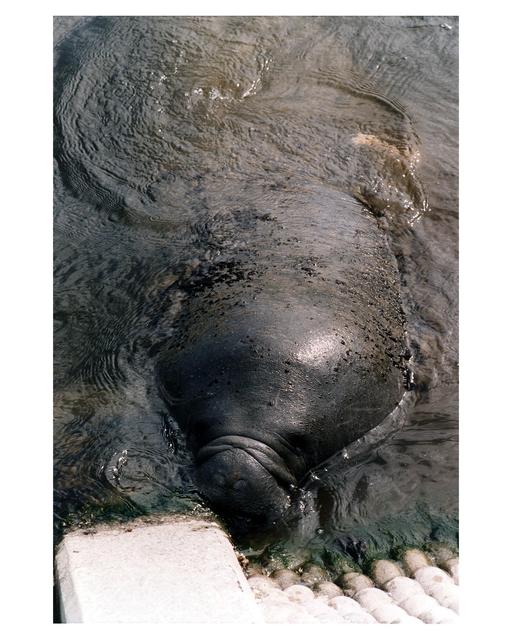 NASA image: KSC-97pc362