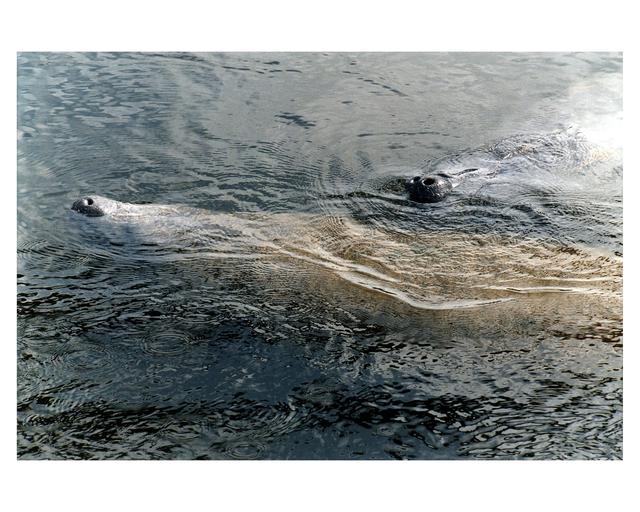 NASA image: KSC-97pc365