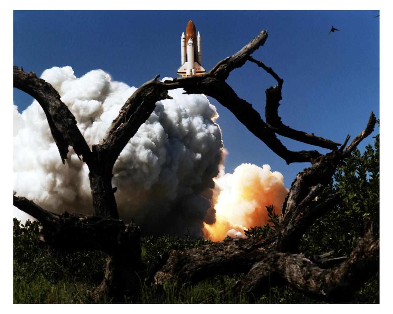 Like a rising sun lighting up the afternoon sky, the Space Shuttle Columbia soars from Launch Pad 39A at 2:20:32 p.m. EST, April 4, on the 16-day Microgravity Science Laboratory-1 (MSL-1) mission. The crew members are Mission Commander James D. Halsell, Jr.; Pilot Susan L. Still; Payload Commander Janice Voss; Mission Specialists Michael L. Gernhardt and Donald A. Thomas; and Payload Specialists Roger K. Crouch and Gregory T. Linteris. During the scheduled 16-day STS-83 mission, the MSL-1 will be used to test some of the hardware, facilities and procedures that are planned for use on the International Space Station as well as research in combustion, protein crystal growth and materials processing experiments