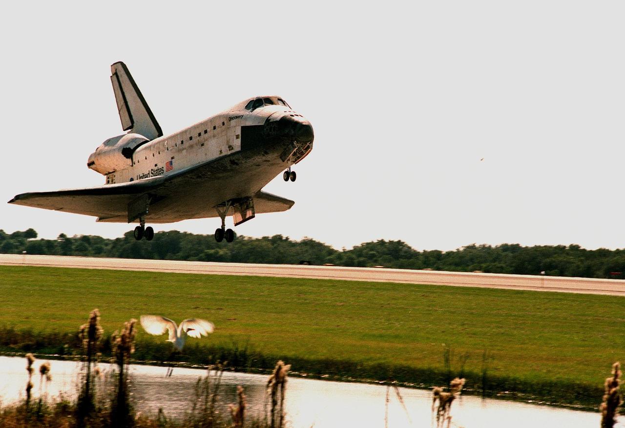 Orbiter Discovery startles a great white egret (below) next to runway 33 as it touches down at the Shuttle Landing Facility. Main gear touchdown was at 12:04 p.m. EST, landing on orbit 135. Discovery returns to Earth with its crew of seven after successfully completing mission STS-95, lasting nearly nine days and 3.6 million miles. The crew consists of Mission Commander Curtis L. Brown Jr.; Pilot Steven W. Lindsey; Mission Specialist Scott E. Parazynski; Mission Specialist Stephen K. Robinson; Payload Specialist John H. Glenn Jr., a senator from Ohio; Mission Specialist Pedro Duque of Spain, with the European Space Agency (ESA); and Payload Specialist Chiaki Mukai, M.D., with the National Space Development Agency of Japan (NASDA). The mission included research payloads such as the Spartan solar-observing deployable spacecraft, the Hubble Space Telescope Orbital Systems Test Platform, the International Extreme Ultraviolet Hitchhiker, as well as the SPACEHAB single module with experiments on space flight and the aging process
