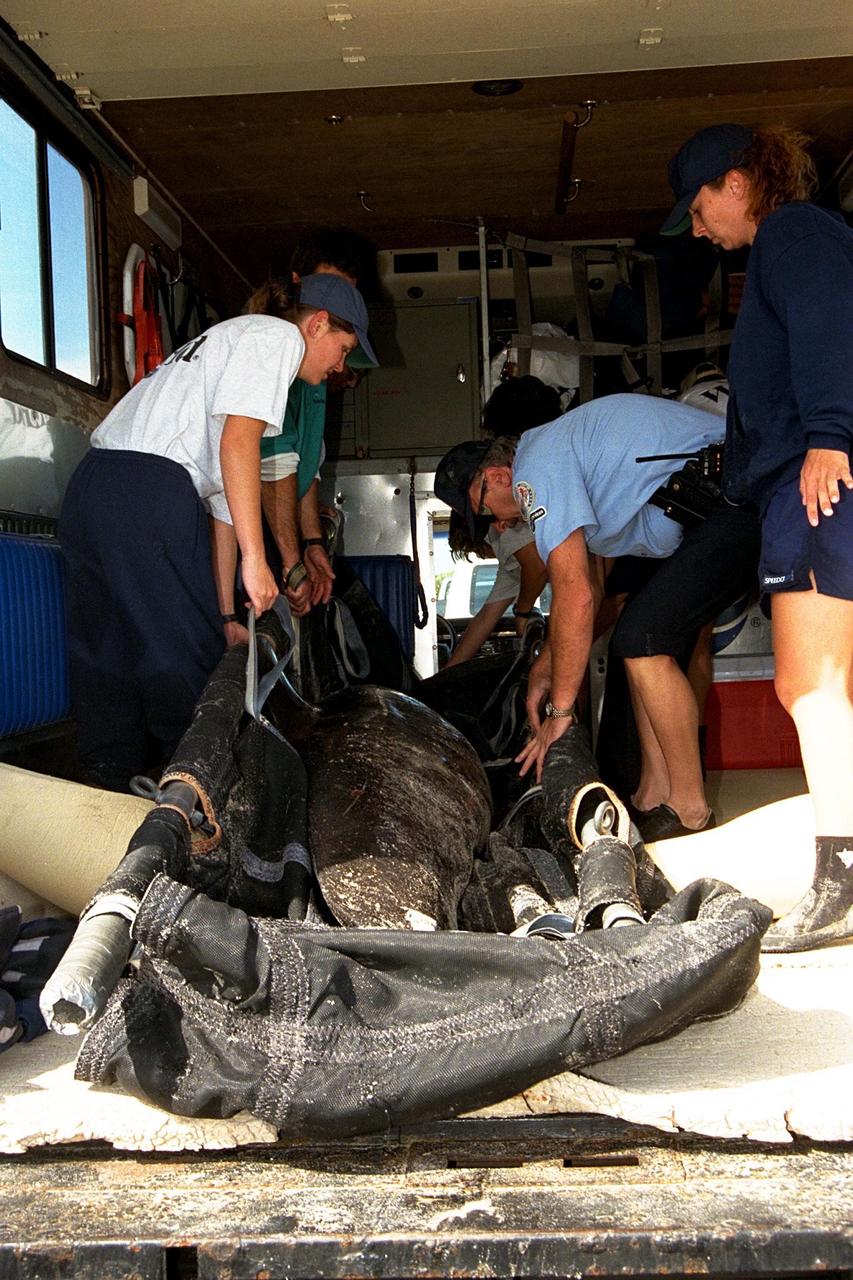 KENNEDY SPACE CENTER, FLA. -- Sea World, Dynamac Life Sciences, and EG&G Protective Services staff tend to a beached whale on the Brevard County shoreline near Kennedy Space Center's Launch Pad 39A. Two pilot whales beached themselves mid-morning on Jan. 20 and were rescued and taken to Marineland near St. Augustine. The two whales, an eight-foot and an 11-foot, bring to six the number of whales being treated at Sea World in Orlando and at Marineland. Nine whales have beached in Brevard County since the beginning of the year.