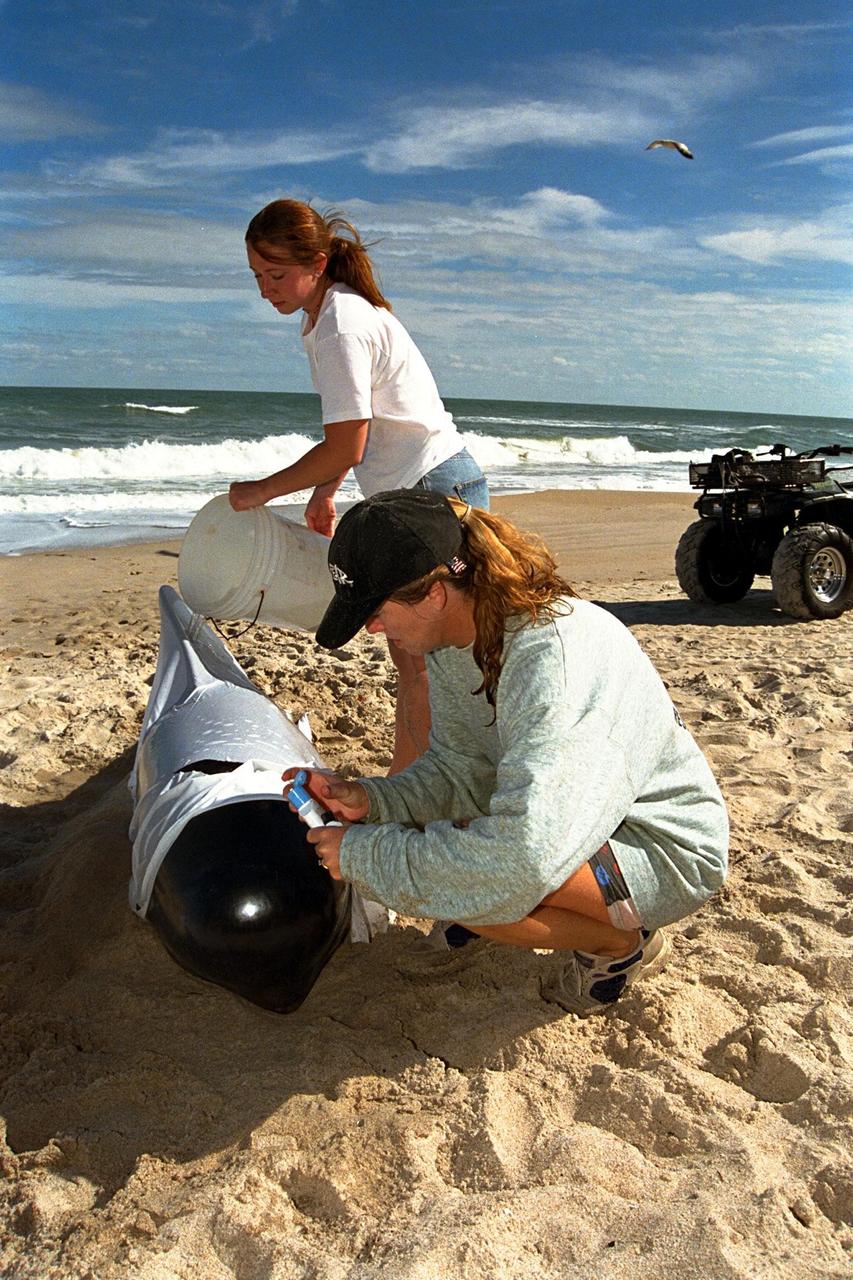 KENNEDY SPACE CENTER, FLA. -- Sea World, Dynamac Life Sciences, and EG&G Protective Services staff tend to a beached whale on the Brevard County shoreline near Kennedy Space Center's Launch Pad 39A. Two pilot whales beached themselves mid-morning on Jan. 20 and were rescued and taken to Marineland near St. Augustine. The two whales, an eight-foot and an 11-foot, bring to six the number of whales being treated at Sea World in Orlando and at Marineland. Nine whales have beached in Brevard County since the beginning of the year.