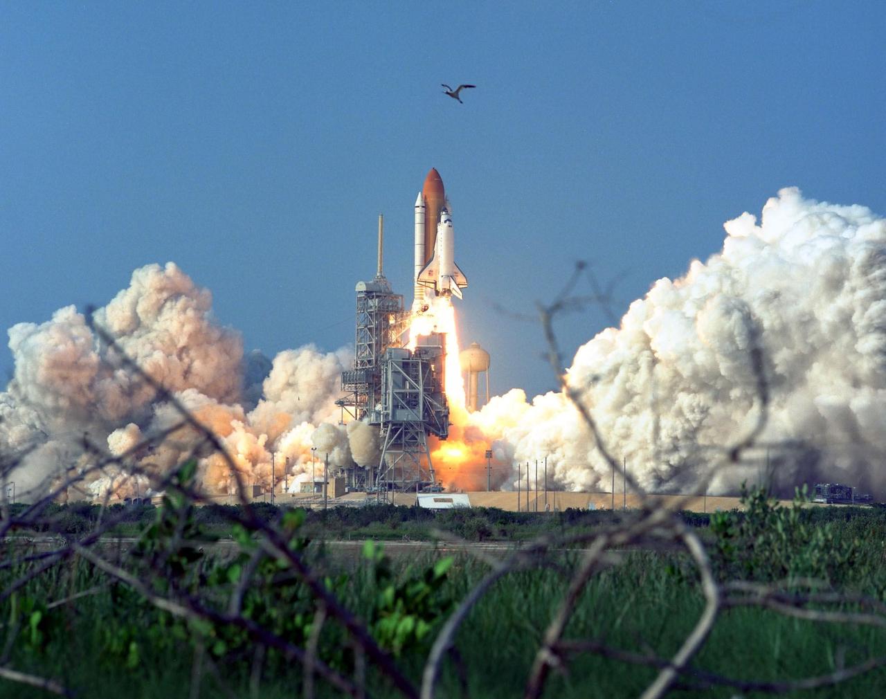 KENNEDY SPACE CENTER,  Fla. -- Startled by the thunderous roar of the Space Shuttle Discovery’s engines as it lifts off, a bird hurriedly leaves the Launch Pad 39A area for a more peaceful site. Liftoff time for the 91st Shuttle launch and last Shuttle-Mir mission was 6:06:24 p.m. EDT June 2. On board Discovery are Mission Commander Charles J. Precourt; Pilot Dominic L. Gorie; and Mission Specialists Wendy B. Lawrence, Franklin R. Chang-Diaz, Janet Lynn Kavandi and Valery Victorovitch Ryumin. The nearly 10-day mission will feature the ninth and final Shuttle docking with the Russian space station Mir, the first Mir docking for the Space Shuttle orbiter Discovery, the first on-orbit test of the Alpha Magnetic Spectrometer (AMS), and the first flight of the new Space Shuttle super lightweight external tank. Astronaut Andrew S. W. Thomas will be returning to Earth as an STS-91 crew member after living more than four months aboard Mir