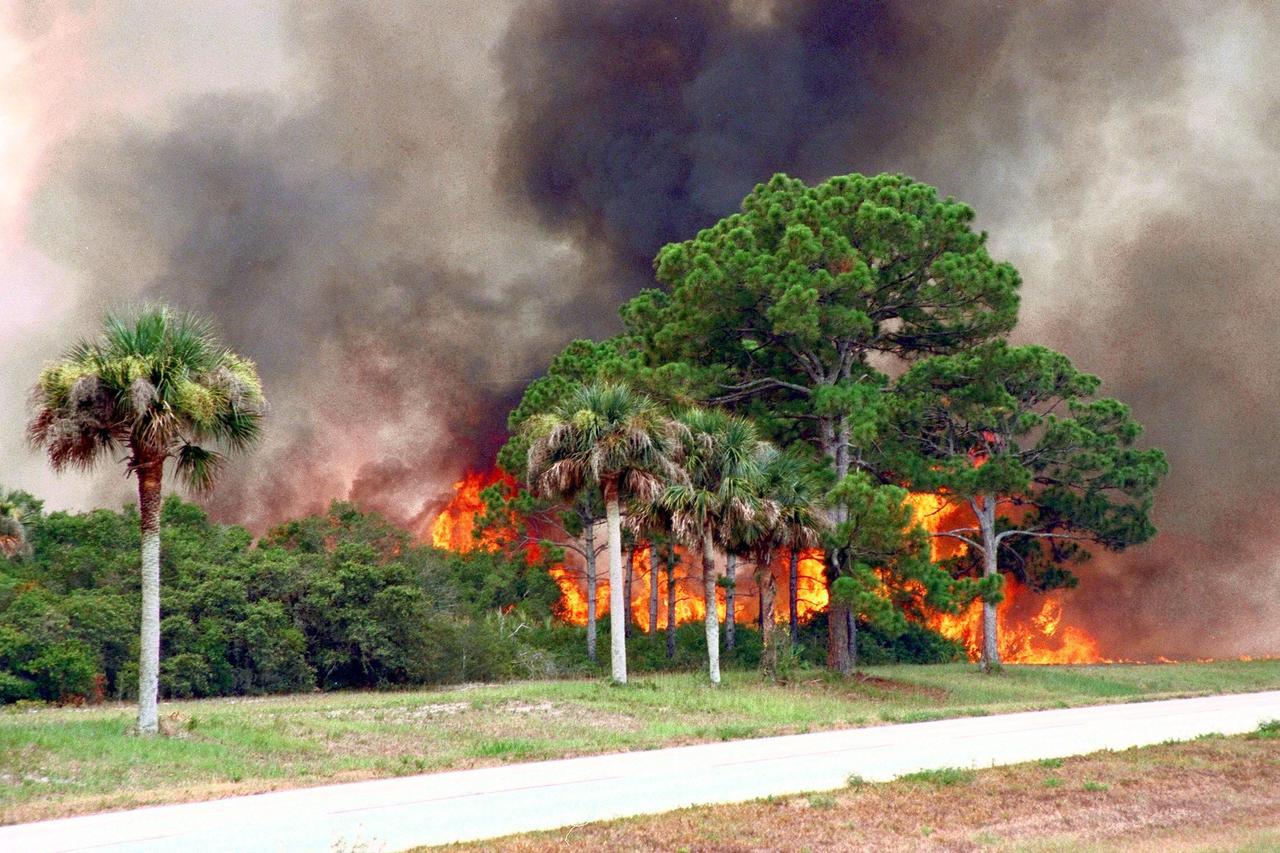 KENNEDY SPACE CENTER, FLA. --  A wooded section of the southeast corner of Kennedy Space Center burns on Monday, June 22, after lightning touched off three different fires Sunday evening in and around Tel IV, Ransom Road and Pine Island Road. This area is part of the Merritt Island National Wildlife Refuge operated by the U.S. Fish and Wildlife Service. The fires were a short distance from operational facilities at the space center and forced the closing of Florida State Route 3. The fires are being contained by firefighters from Kennedy Space Center and the U.S. Fish and Wildlife Service