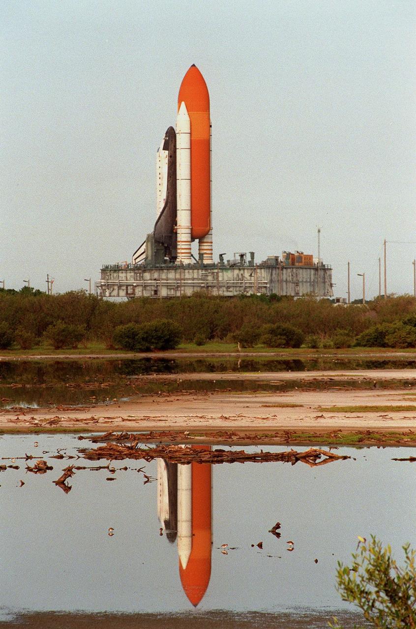 KENNEDY SPACE CENTER, FLA. -- The avian population (foreground) at this watering site on Kennedy Space Center is undaunted as the 12-million-pound combination of Space Shuttle Discovery, crawler transporter and mobile launcher platform rolls out to Launch Pad 39B from the Vehicle Assembly Building (VAB). Earlier in the week, the Shuttle was rolled back to the VAB from the pad to repair hail damage on the external tank's foam insulation. The trek takes about five hours at the 1-mph speed of the crawler. Mission STS-96, the 94th launch in the Space Shuttle Program, is scheduled for liftoff May 27 at 6:48 a.m. EDT STS-96 is a logistics and resupply mission for the International Space Station, carrying such payloads as a Russian crane, the Strela; a U.S.-built crane; the Spacehab Oceaneering Space System Box (SHOSS), a logistics items carrier; and STARSHINE, a student-shared experiment