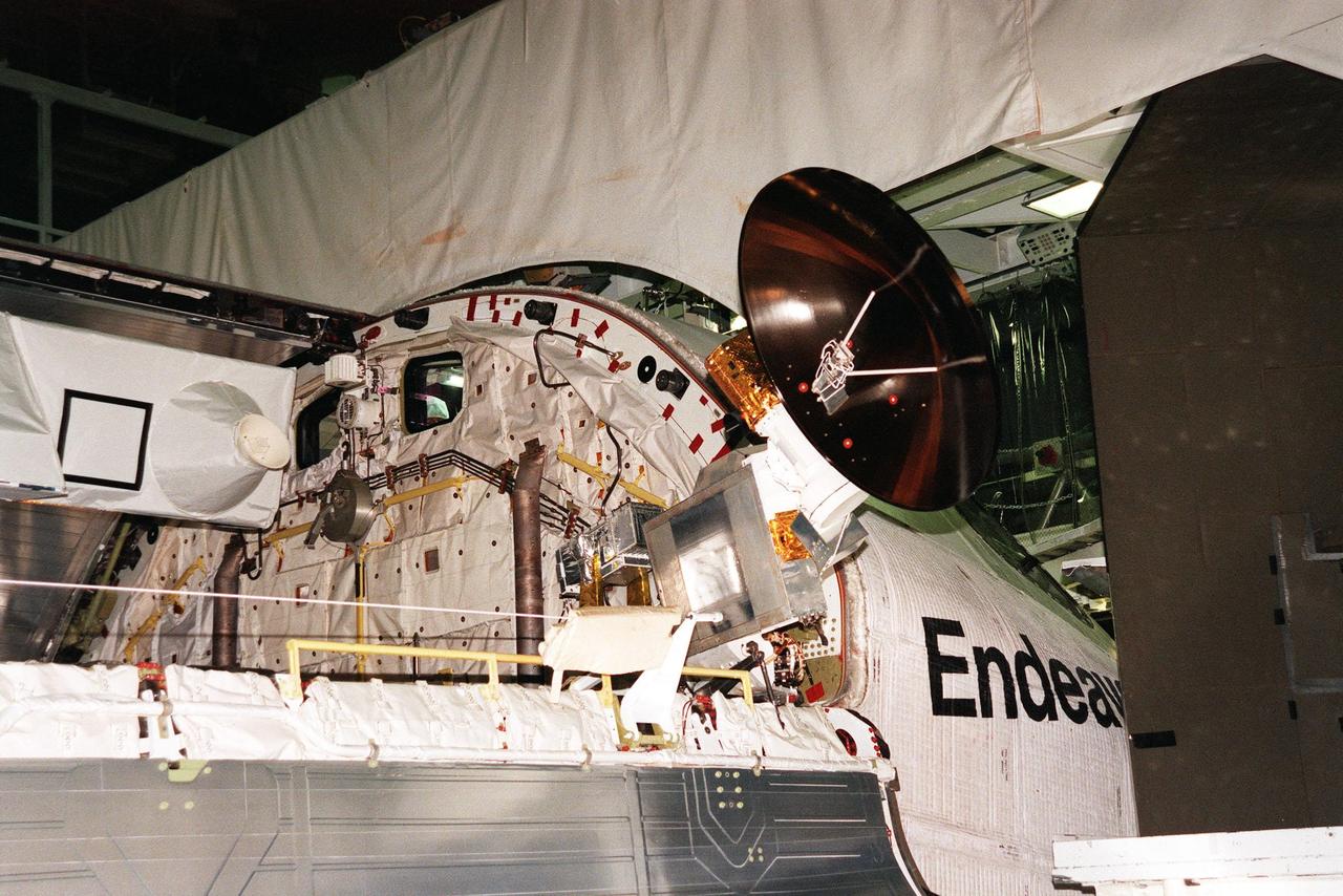 KENNEDY SPACE CENTER, FLA. -- In the Orbiter Processing Facility, a radar antenna, part of the Shuttle Radar Topography Mission (SRTM), is ready to be stored in the payload bay of the orbiter Endeavour before door closure. SRTM is the primary payload on mission STS-99, scheduled to launch Sept. 16 at 8:47 a.m. EDT from Launch Pad 39A. A specially modified radar system, the SRTM will gather data for the most accurate and complete topographic map of the Earth's surface that has ever been assembled. SRTM will make use of radar interferometry, wherein two radar images are taken from slightly different locations. Differences between these images allow for the calculation of surface elevation, or change. The SRTM hardware consists of one radar antenna in the shuttle payload bay and a second radar antenna attached to the end of a mast extended 60 meters (195 feet) out from the shuttle. SRTM is an international project spearheaded by the National Imagery and Mapping Agency and NASA, with participation of the German Aerospace Center DLR