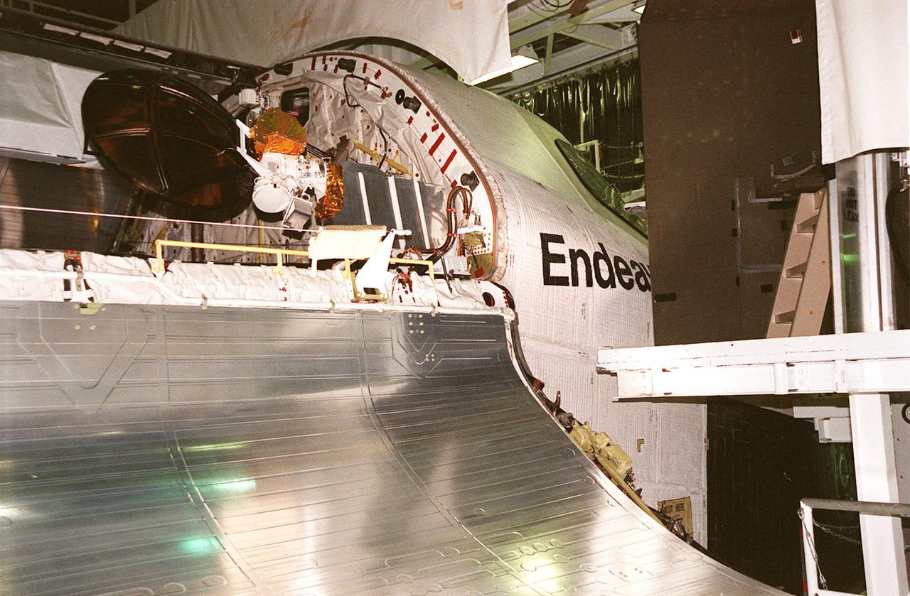 KENNEDY SPACE CENTER, FLA. -- Orbiter Endeavour waits in the Orbiter Processing Facility bay 2 for the closing of its payload bay doors. The Ku-band antenna (upper right) is now in its closed position inside the payload bay. Endeavour is expected to roll over to the Vehicle Assembly Building in three days for mating to the external tank and solid rocket boosters in high bay 1. Space Shuttle Endeavour is targeted for launch on mission STS-99 Jan. 13, 2000 at 1:11 p.m. EST. STS-99 is the Shuttle Radar Topography Mission, an international project spearheaded by the National Imagery and Mapping Agency and NASA, with participation of the German Aerospace Center DLR. The SRTM consists of a specially modified radar system that will gather data for the most accurate and complete topographic map of the Earth's surface that has ever been assembled. SRTM will make use of radar interferometry, wherein two radar images are taken from slightly different locations. Differences between these images allow for the calculation of surface elevation, or change. The SRTM hardware will consist of one radar antenna in the shuttle payload bay and a second radar antenna attached to the end of a mast extended 60 meters (195 feet) out from the shuttle