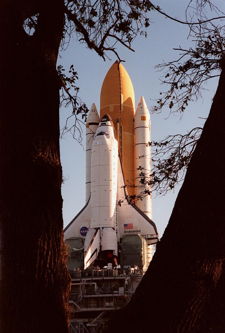 KENNEDY SPACE CENTER, Fla. -- Space Shuttle Endeavour is viewed between two tree trunks in this photo during the Shuttle's rollout to Launch Pad 39A for launch of mission STS-99. Named the Shuttle Radar Topography Mission (SRTM), it involves an international project spearheaded by the National Imagery and Mapping Agency and NASA, with participation of the German Aerospace Center DLR. The SRTM consists of a specially modified radar system that will gather data for the most accurate and complete topographic map of the Earth's surface that has ever been assembled