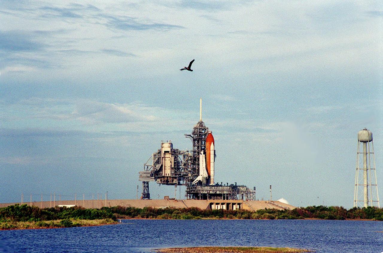 An olivaceous cormorant soars in the cloud-streaked sky near the Space Shuttle Discovery as it waits for liftoff on mission STS-103. To the left of Discovery is the Rotating Service Structure, rolled back on Dec. 16 in preparation for launch. At right is a 290-foot-high water tank with a capacity of 300,000 gallons. The tank is part of the sound suppression water system used during launch. The STS-103 mission, to service the Hubble Space Telescope, is scheduled for launch Dec. 17 at 8:47 p.m. EST from Launch Pad 39B. Mission objectives include replacing gyroscopes and an old computer, installing another solid state recorder, and replacing damaged insulation in the telescope. The mission is expected to last about 8 days and 21 hours. Discovery is expected to land at KSC Sunday, Dec. 26, at about 6:25 p.m. EST