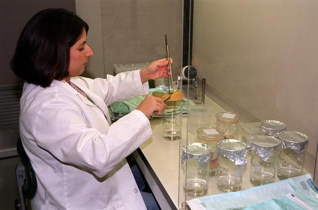 NASA image: KSC00pp0694