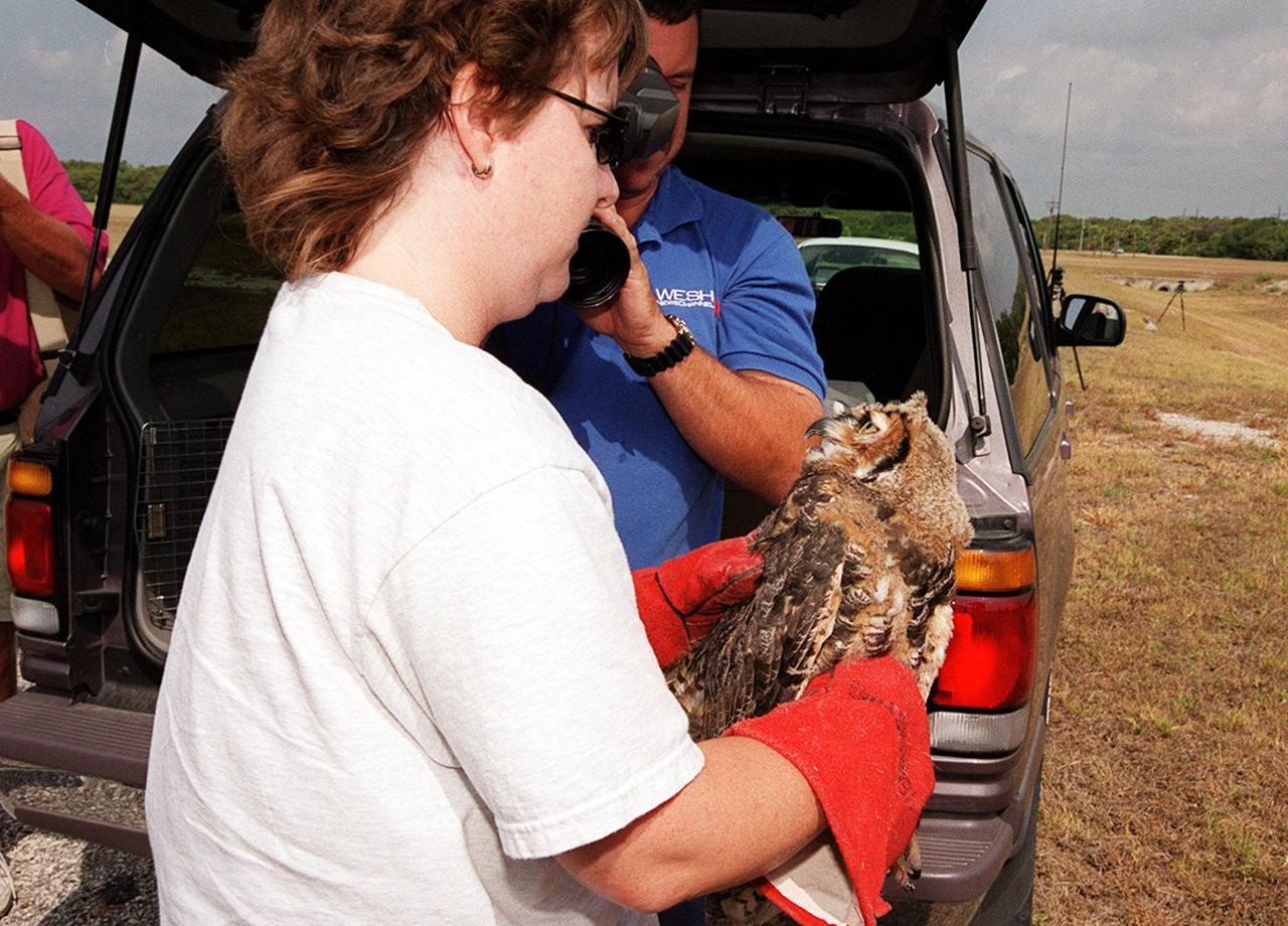 Eileen Olejarski, manager of Florida Wildlife Hospital, and Susan Small, director of the hospital, get ready to release two great horned owls at Complex 25/29 on Cape Canaveral Air Force Station . The owls, rescued after falling from their next inside a hangar at CCAFS in April, were treated at the hospital for injuries