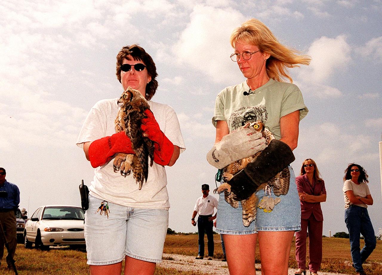  Eileen Olejarski (left), manager of Florida Wildlife Hospital, and Susan Small, director of the hospital, get ready to release two great horned owls at Cape Canaveral Air Force Station, Complex 25/29. The owls were found in June on the floor of CCAFS Hangar G, where their nest was located. They were treated at a local veterinary hospital and then taken to the Florida Wildlife Hospital in Melbourne for care and rehabilitation before release