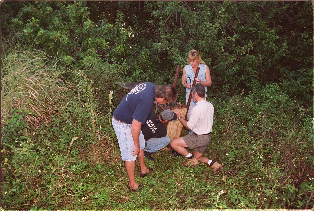 In hope of catching a large monitor lizard seen in the area, state-licensed animal trappers Dewey Kessler and James Dean (at left), with Gary Povitch (kneeling) of the U.S. Wildlife and Dan Turner (standing) set up a trap on KSC. The lizard has been spotted recently near S.R. 3, a route into the Center, by several area residents. Turner is a monitor expert. The lizard is not a native of the area, and possibly a released pet. Dean is working with the cooperation of KSC and the Merritt Island National Wildlife Refuge