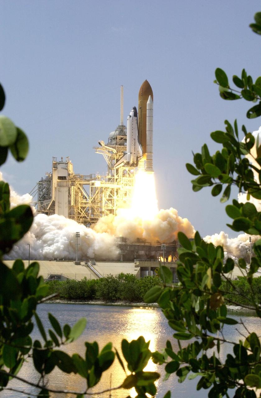 KENNEDY SPACE CENTER, FLA. -- Spring leaves frame the launch of Space Shuttle Endeavour, trailing flames and billows of smoke and steam, as it roars into the blue sky. Liftoff of the ninth flight to the International Space Station occurred at 2:40:42 p.m. EDT. The 11-day mission will deliver and integrate the Spacelab Logistics Pallet/Launch Deployment Assembly, which includes the Space Station Remote Manipulator System and the UHF Antenna. The mission includes two planned spacewalks for installation of the SSRMS on the Station. Also onboard is the Multi-Purpose Logistics Module Raffaello, carrying resupply stowage racks and resupply/return stowage platforms
