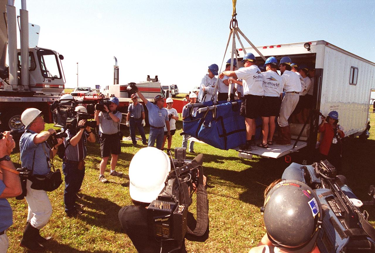 KENNEDY SPACE CENTER, FLA. -- The weight of an adult manatee requires a hoist to lift it out of the van for release into the Banana River. The site is on the north side of the NASA Causeway, near Kennedy Space Center. Sea World workers also released a calf at the site. The two manatees recovered from injuries at the Central Florida theme park. Manatees are frequently seen in the waters around Kennedy Space Center, which is surrounded by the Merritt Island National Wildlife Refuge