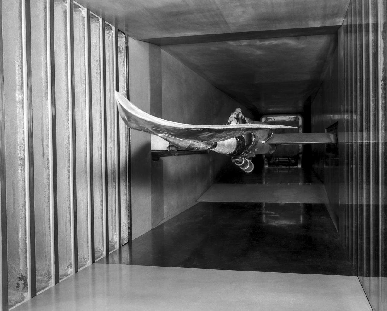 WS-110A "Brown Bomber"