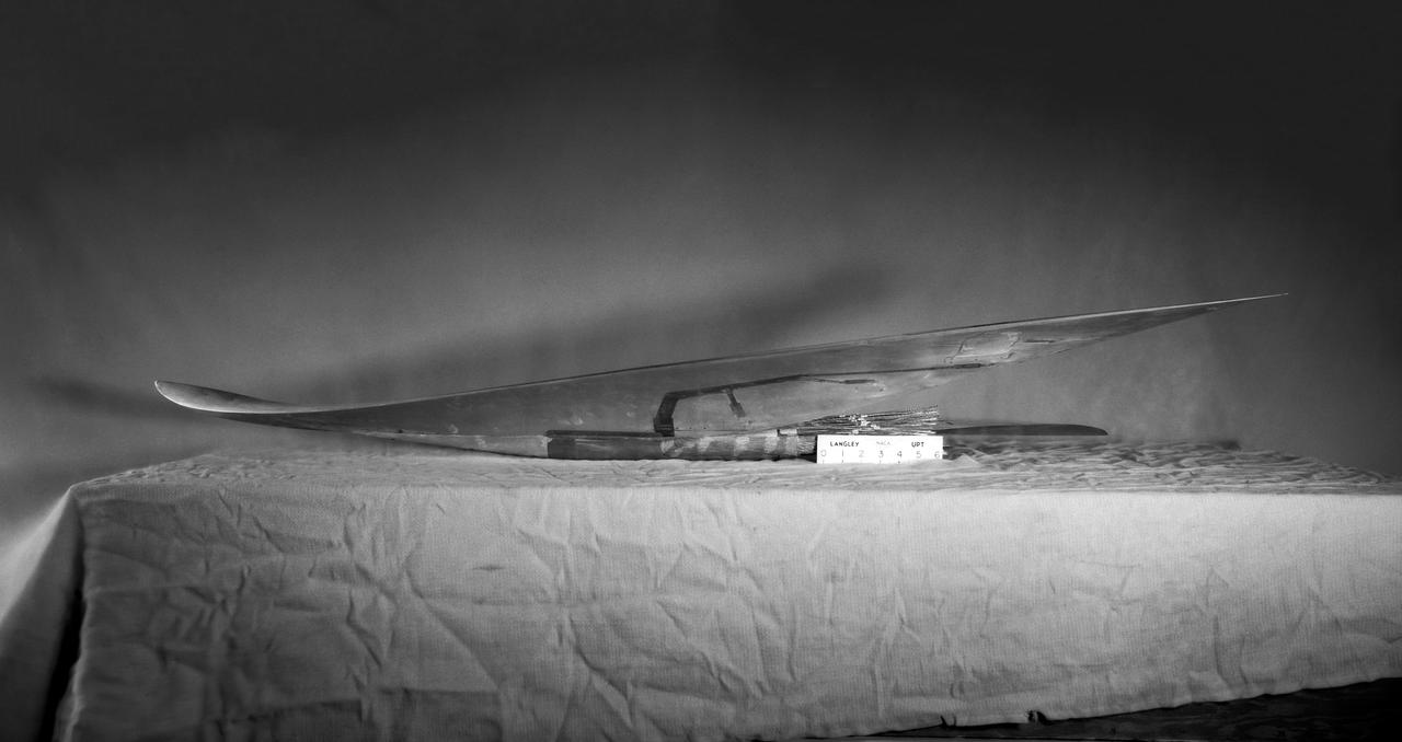 Brown Arrow Wing Bomber  