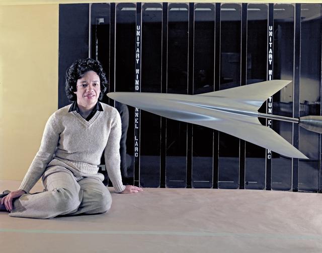 NASA image: Leading Edge Vortex Suppression Series 