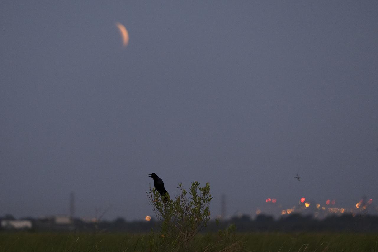 A sliver of the Super Flower Blood Moon over Bayou Bienvenue in New Orleans during the eclipse early Wednesday morning, May 26, 2021. Image credit: NASA/Michael DeMocker