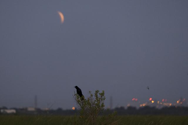 NASA image: Super Flower Blood Moon over New Orleans
